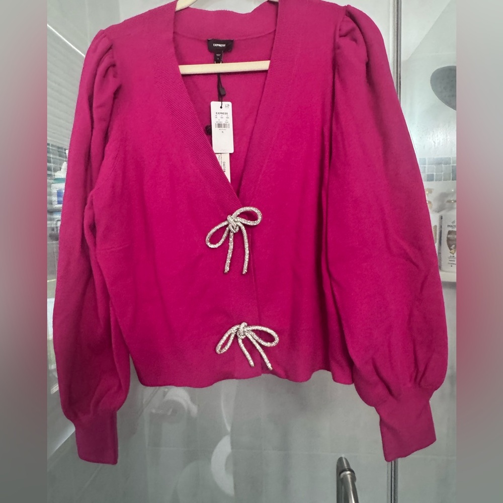 Express Fuchsia V-Neck Sweater